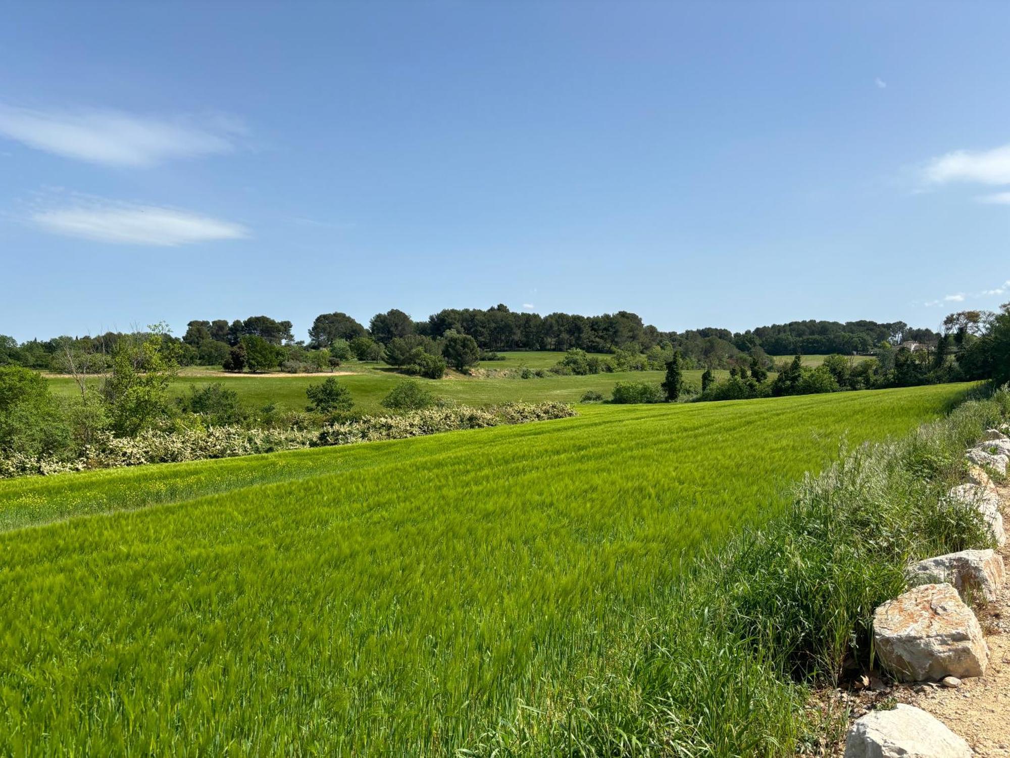Havre De Paix Au Sein D'Un T3 D'Une Bastide Aixoise Aix-en-Provence Extérieur photo