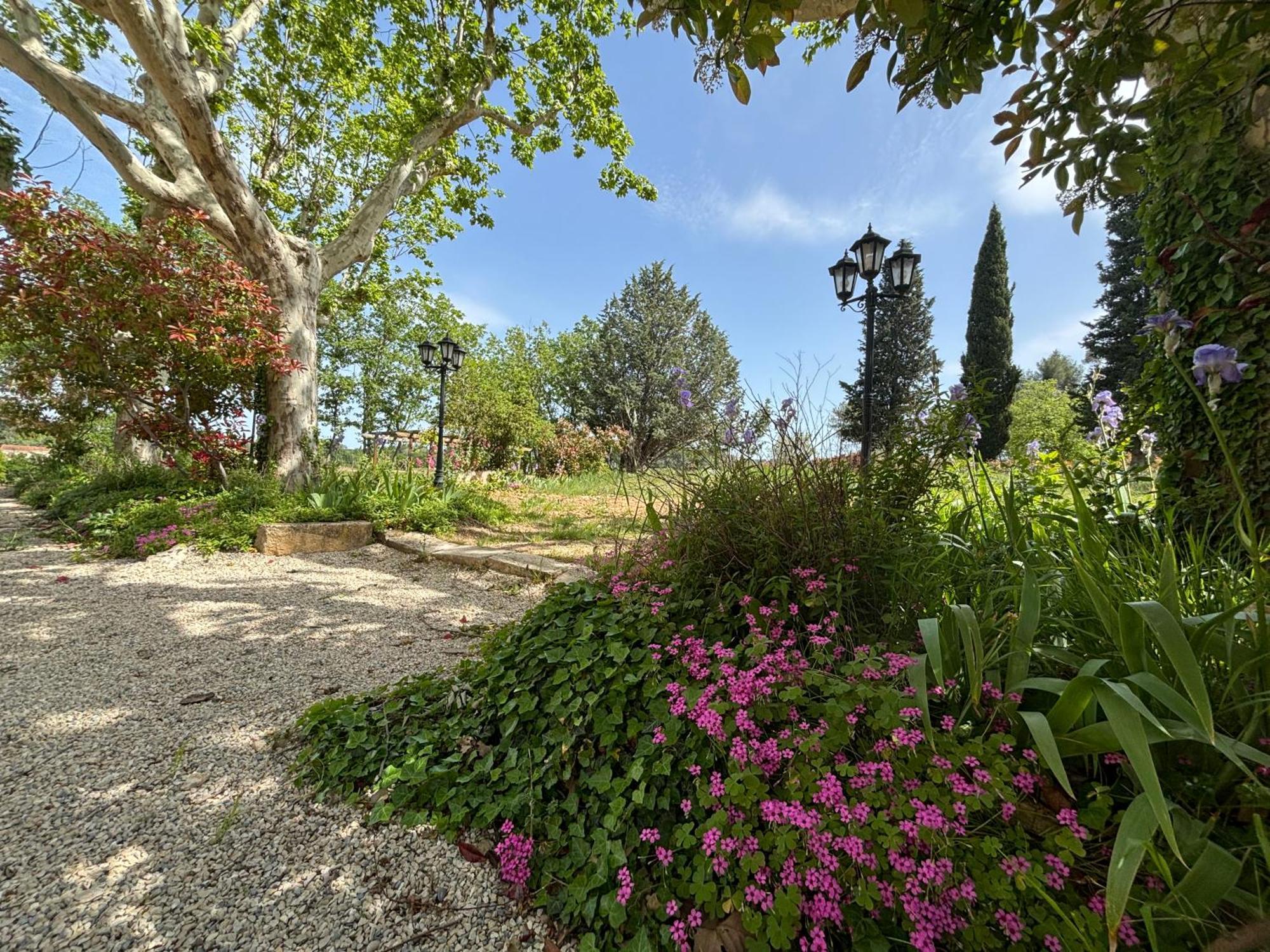 Havre De Paix Au Sein D'Un T3 D'Une Bastide Aixoise Aix-en-Provence Extérieur photo