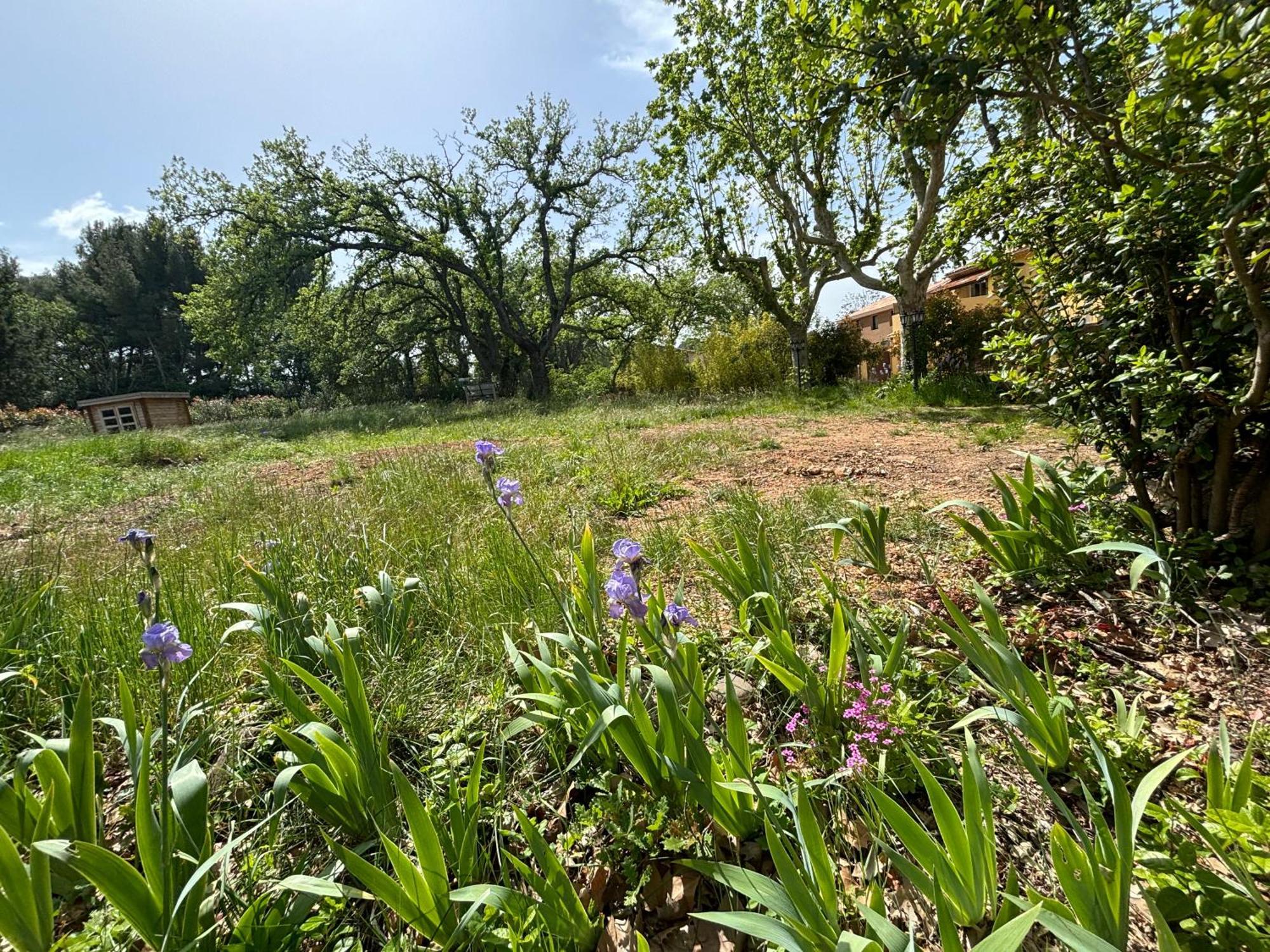 Havre De Paix Au Sein D'Un T3 D'Une Bastide Aixoise Aix-en-Provence Extérieur photo